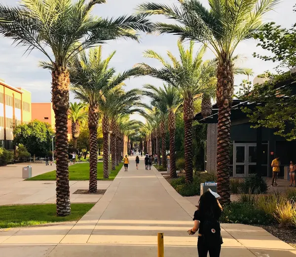 Arizona State University in Chandler