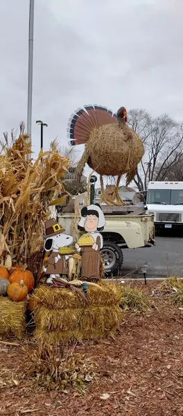 Roseville in Saint Paul