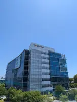 Google MP4