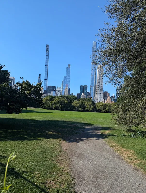Mineral Springs, Central Park in New York City