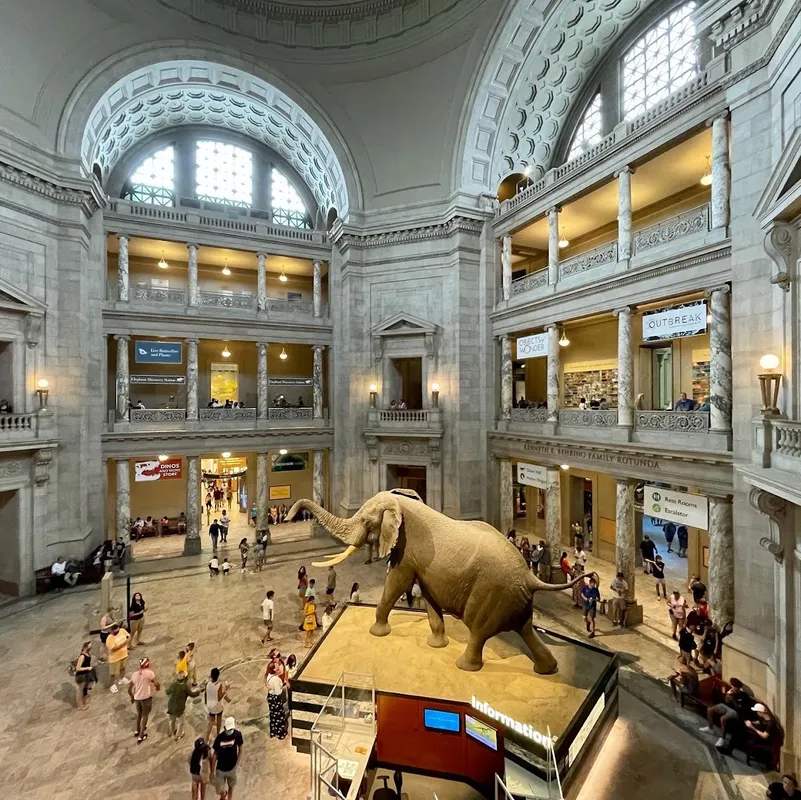 National Museum of Natural History in Washington DC