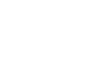 The GoGame Logo
